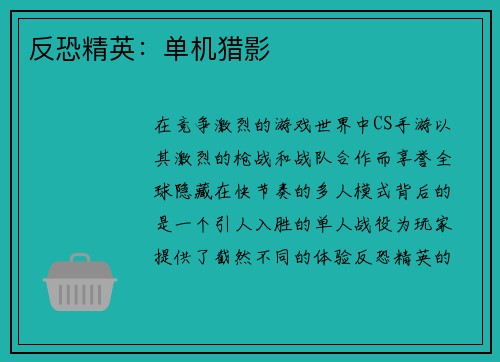 反恐精英：单机猎影